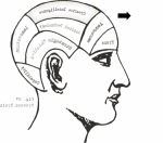 Quantum Brain In Past