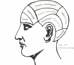 Quantum Brain In Future